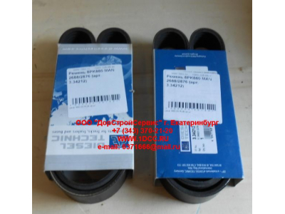 Ремень 8PK880 МAN 2688/2876 ЕВРОПА 3.34212 фото 1 Архангельск