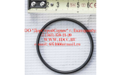 Кольцо уплотнительное ø346х3.5 гидромуфты ГТР CDM 855, 843 фото Архангельск